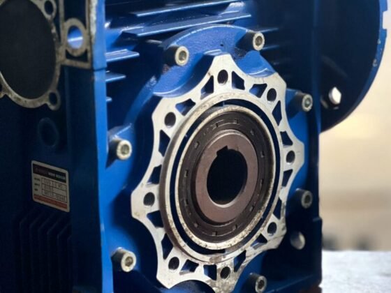 Italian Gearmotors